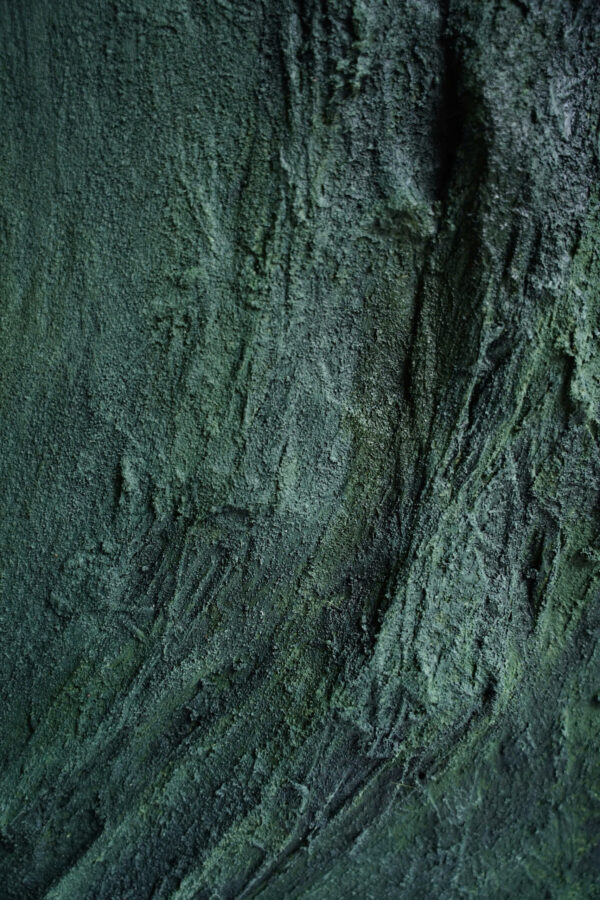 INTO THE FOREST - 70x90cm - Hình ảnh 4